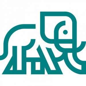 Robustbook Logo Icon