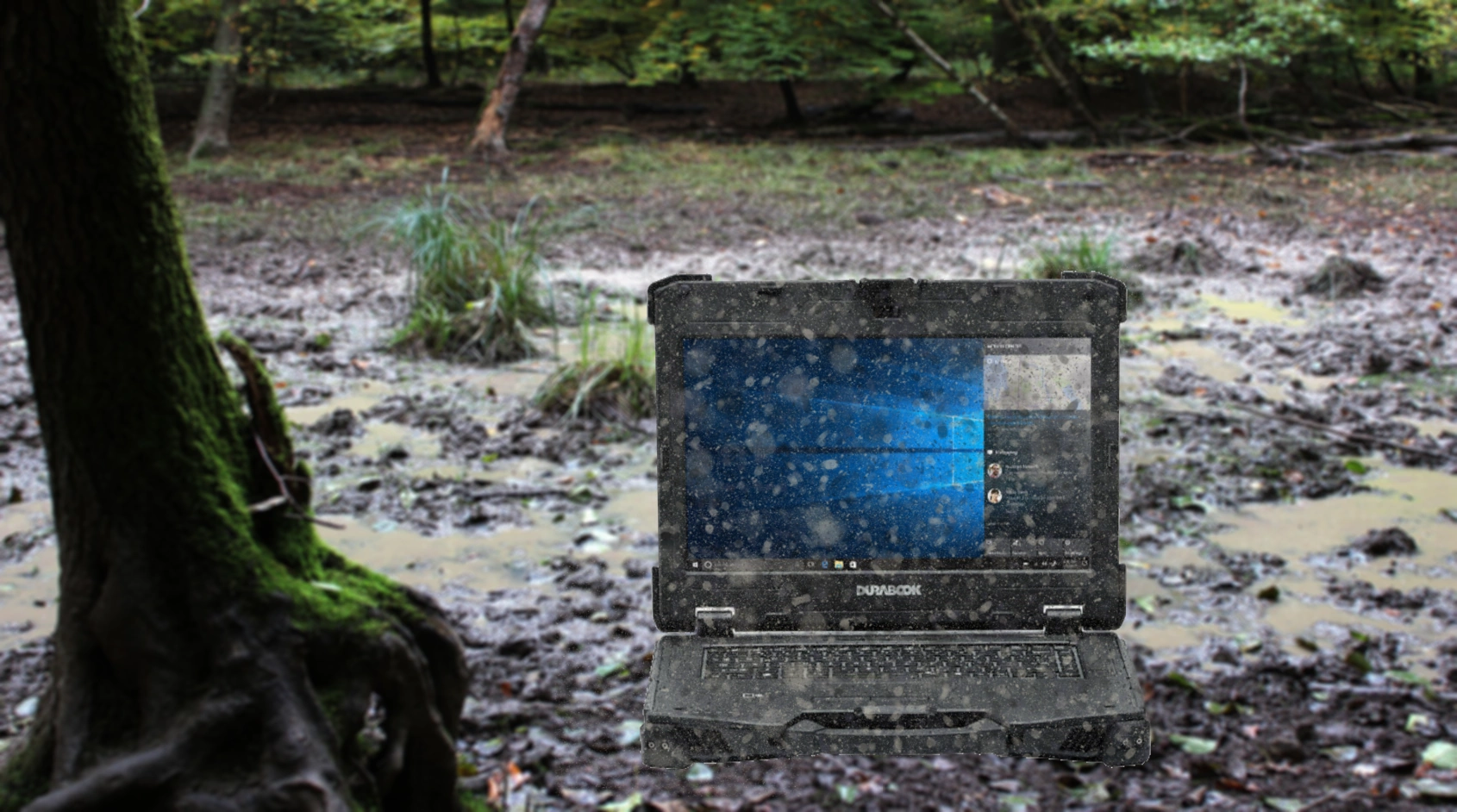 Outdoor Laptop im Wald